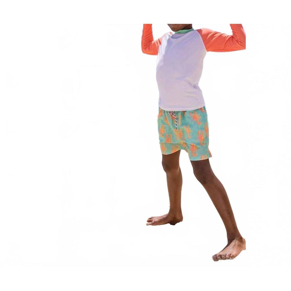 NEW SNAPPER ROCK boys coastal shells sustainable swim shorts in blue